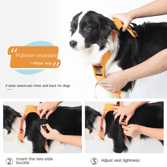 slider images 3
